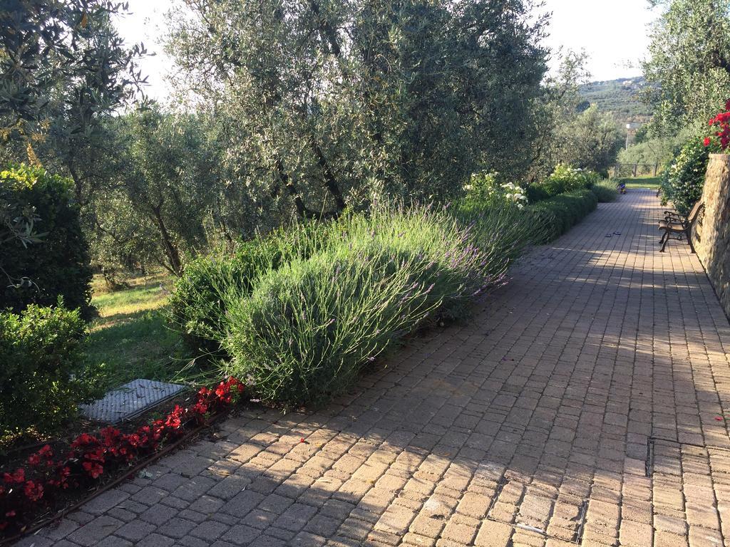 Podere Jana Antico Frantoio Vinci Kültér fotó